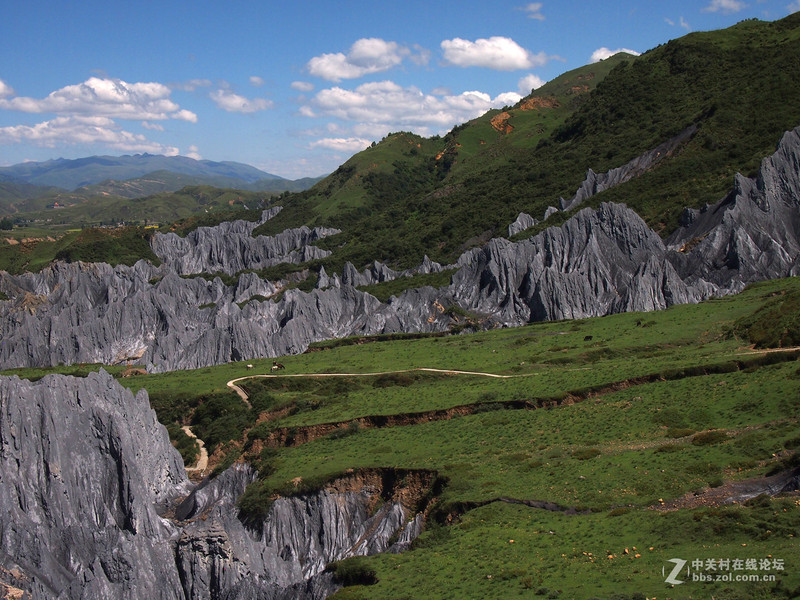 #版主坐堂# 《拉萨星空(中国)优秀作品》2015年9月