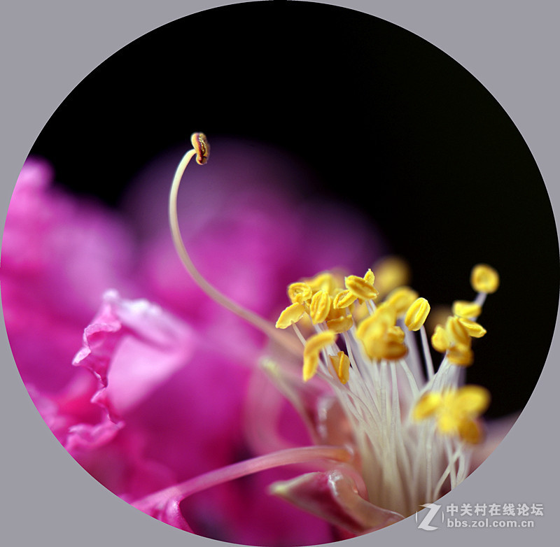 #版主坐堂# 《拉萨星空(中国)优秀作品》2015年9月