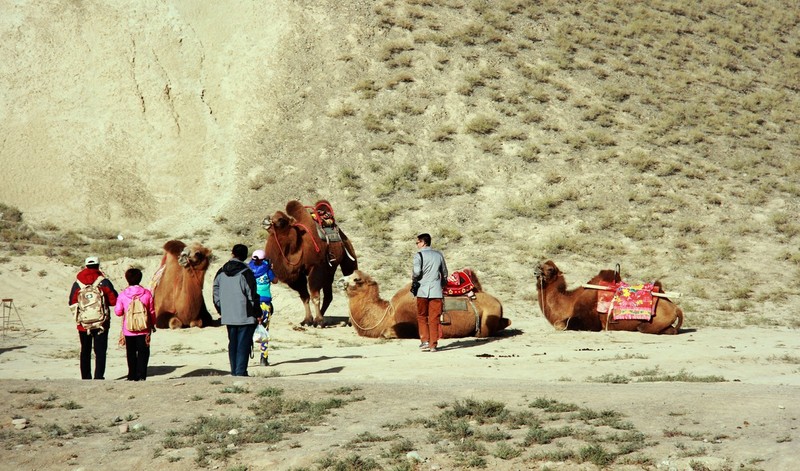 #版主坐堂# 《拉萨星空(中国)优秀作品》2015年9月