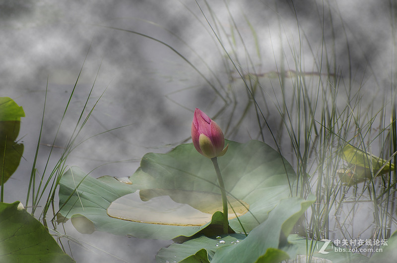 #版主坐堂# 《拉萨星空(中国)优秀作品》2015年9月