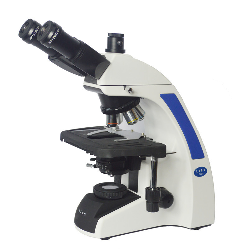 和德国LIOO S600T 大PK一下  德日之战 看谁胜出