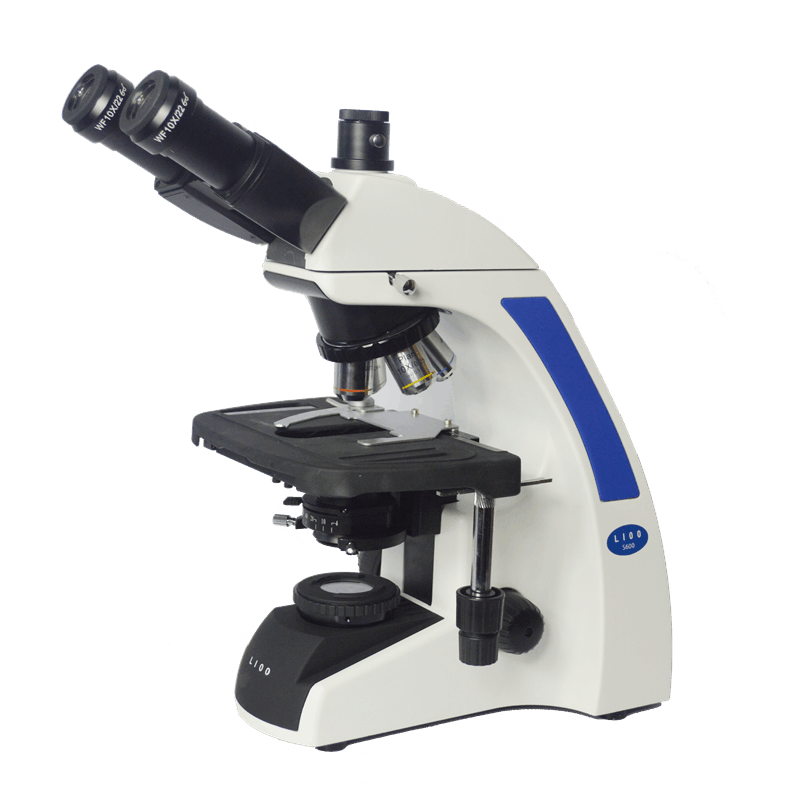 和德国LIOO S600T 大PK一下  德日之战 看谁胜出