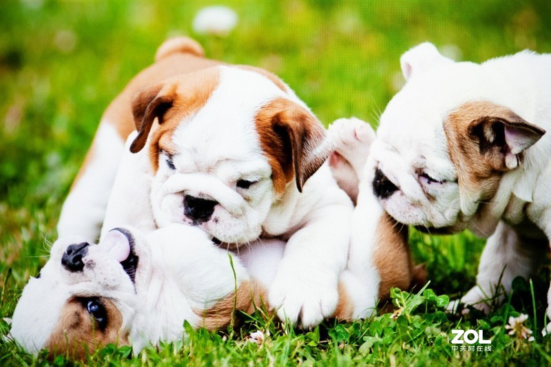 明基EW2780显示器体验：影音娱乐、办公同时满足，护眼、工作两全其美