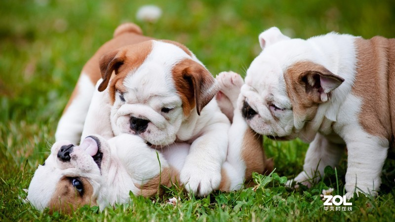 明基EW2780显示器体验：影音娱乐、办公同时满足，护眼、工作两全其美