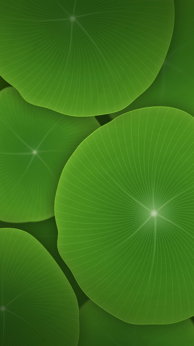 660_1173竖版 竖屏