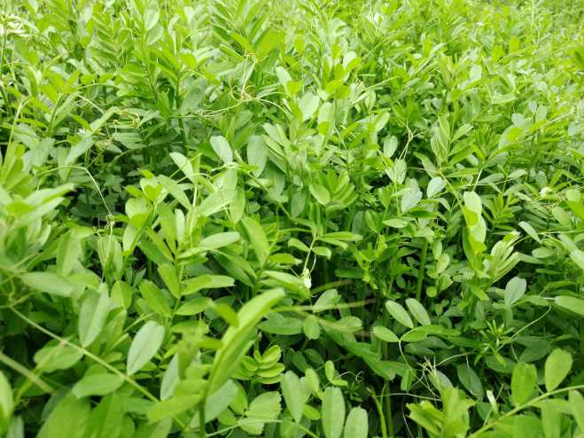 拍了几组照片给大家做壁纸。