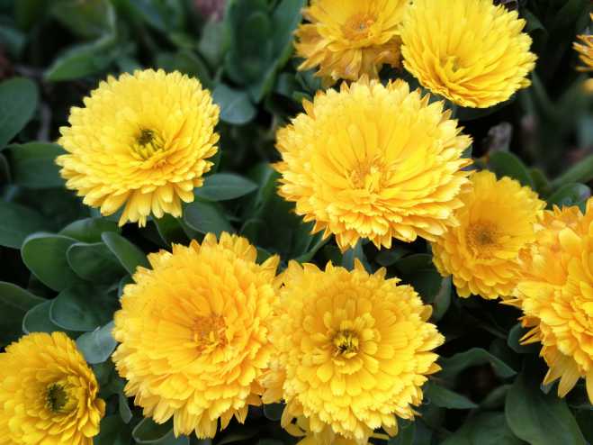 拍了几组照片给大家做壁纸。