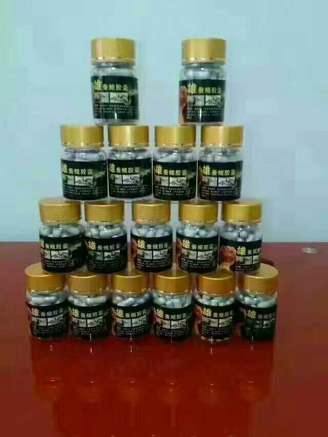 东北特产，野生雄蚕蛾，纯天然绿色食疗，药食同源佳品，