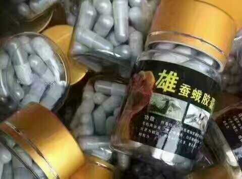 东北特产，野生雄蚕蛾，纯天然绿色食疗，药食同源佳品，