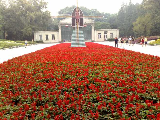 对比了10年前诺基亚n82拍的照片,看只能对m9说呵呵!