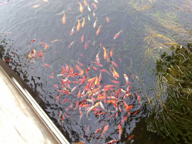 对比了10年前诺基亚n82拍的照片,看只能对m9说呵呵!