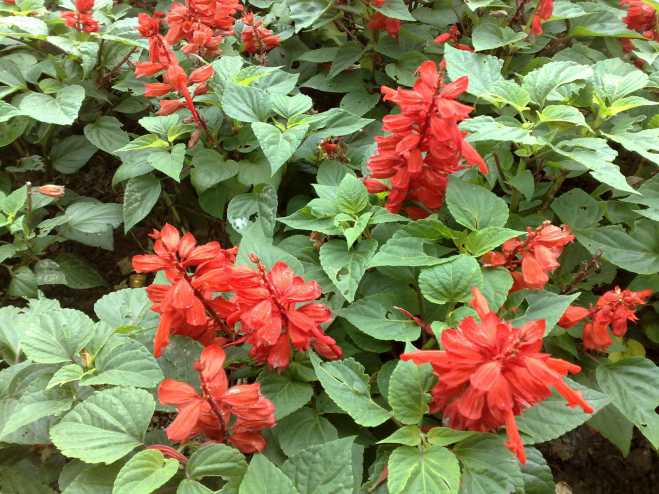 对比了10年前诺基亚n82拍的照片,看只能对m9说呵呵!