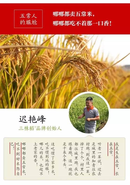 舌尖上的五常??三株稻?五常米