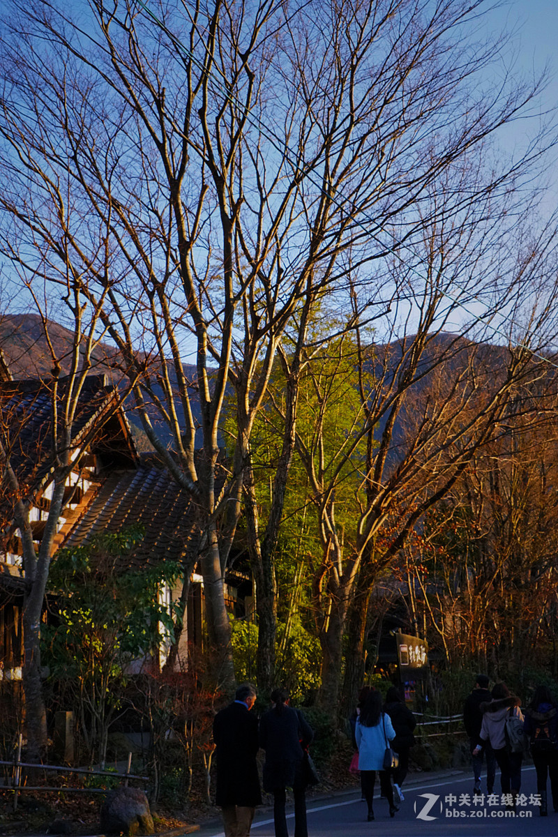 宫崎骏漫画里的小镇——由布院