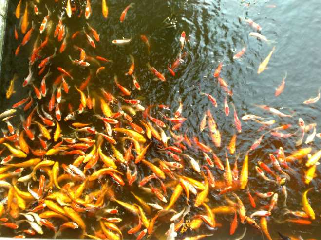 对比了10年前诺基亚n82拍的照片,看只能对m9说呵呵!