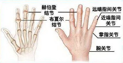 试图颠覆常规操作的rightbove touch兔飚游戏鼠标体验-中关村在线