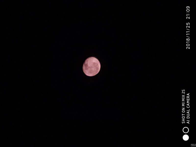 看看我拍的月亮