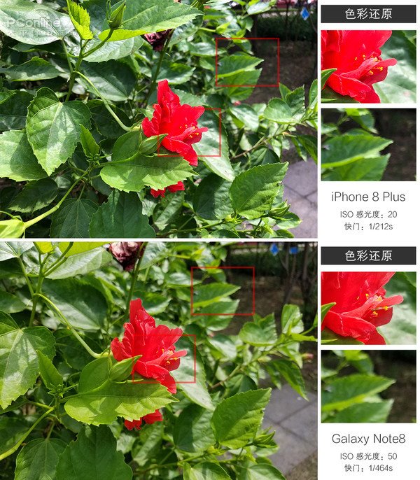星空体育平台Note8、iPhone 8 Plus拍照对比：谁能称王？