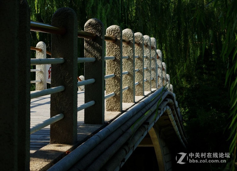 #白塔影集#公园随拍