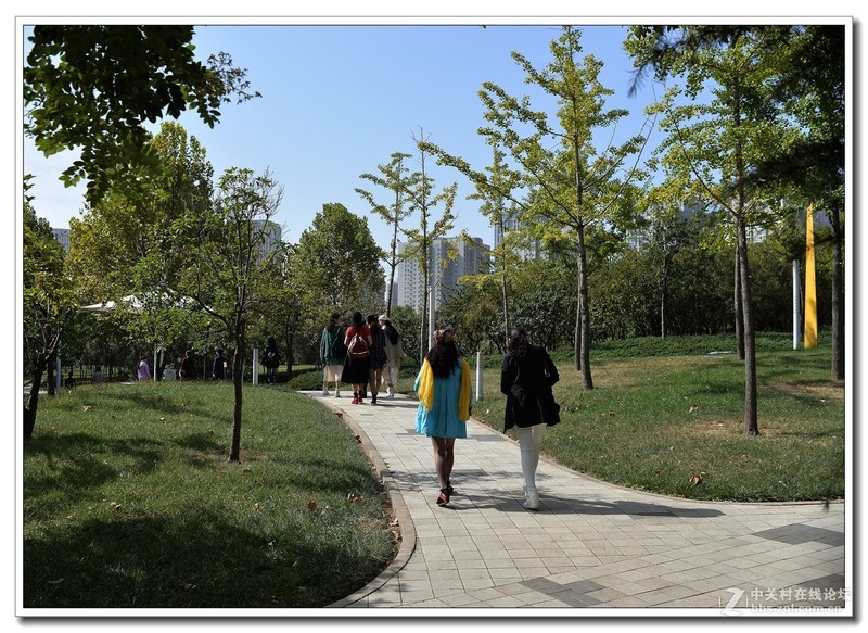 尼康AF 35mm f/2D    小景试拍