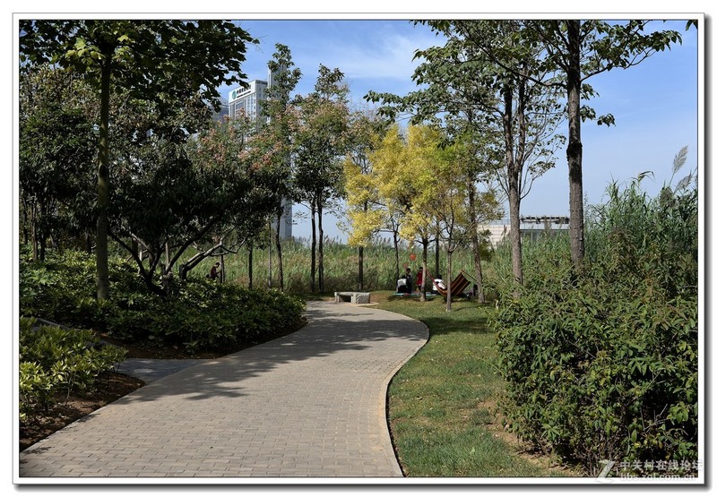 尼康AF 35mm f/2D    小景试拍