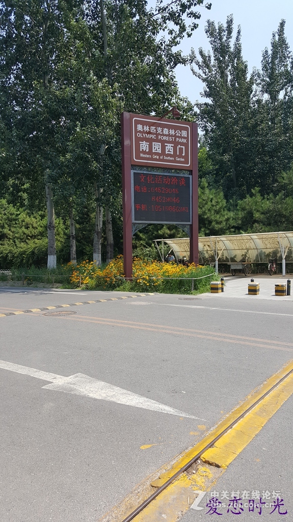 奥森公园High翻夏日一加手机3“暴走”大趴实录