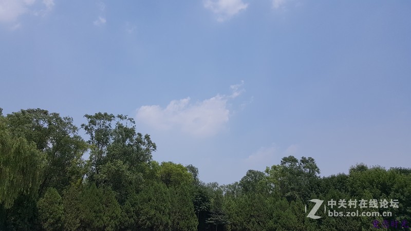 奥森公园High翻夏日一加手机3“暴走”大趴实录