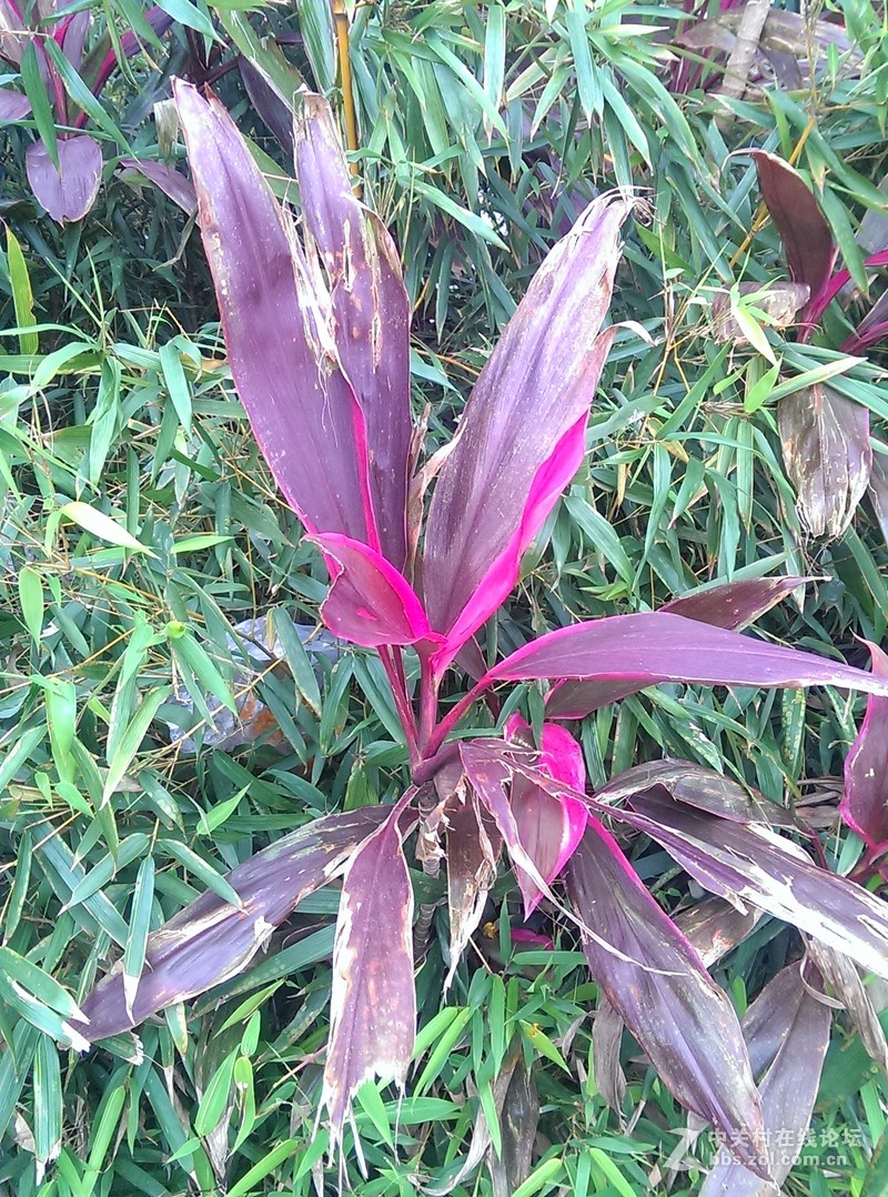 哎，HTC802   才400万像素不咋的  为什么不是1300万，2000万，4100万？？