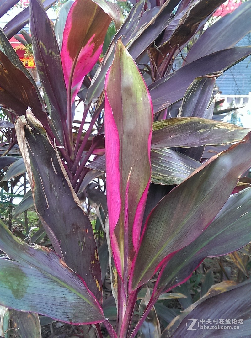 哎，HTC802   才400万像素不咋的  为什么不是1300万，2000万，4100万？？