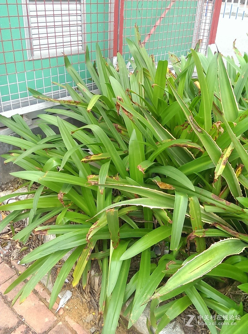 哎，HTC802   才400万像素不咋的  为什么不是1300万，2000万，4100万？？