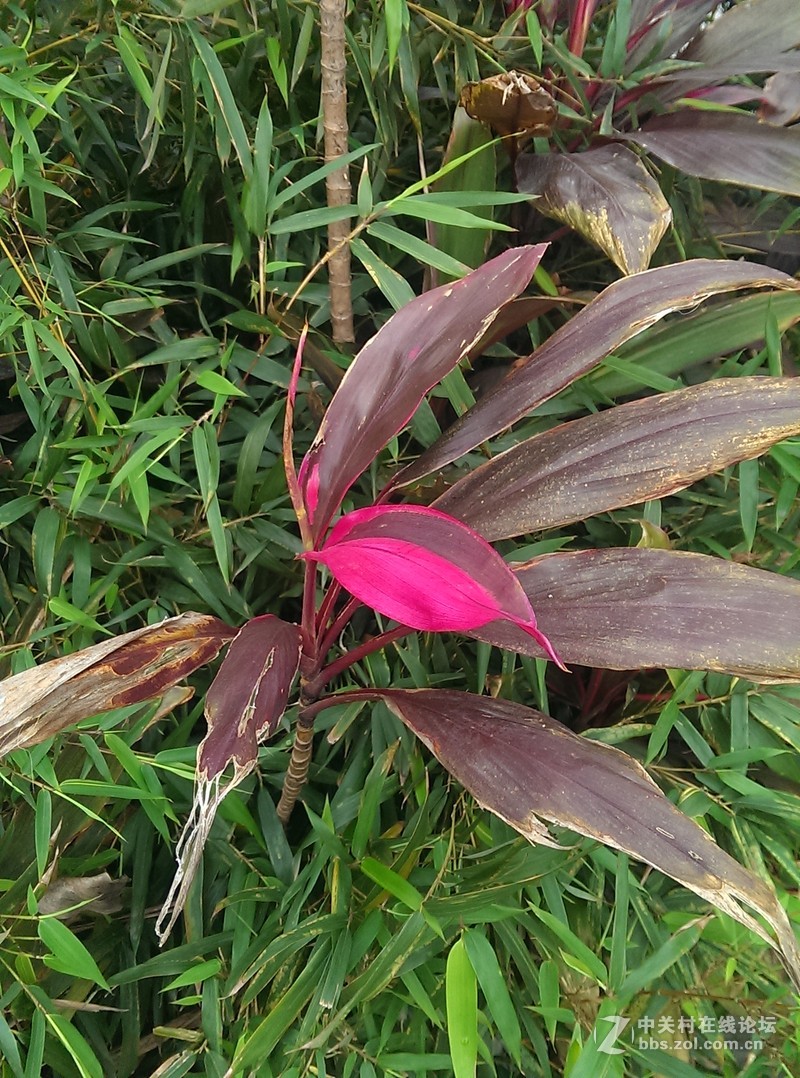 哎，HTC802   才400万像素不咋的  为什么不是1300万，2000万，4100万？？