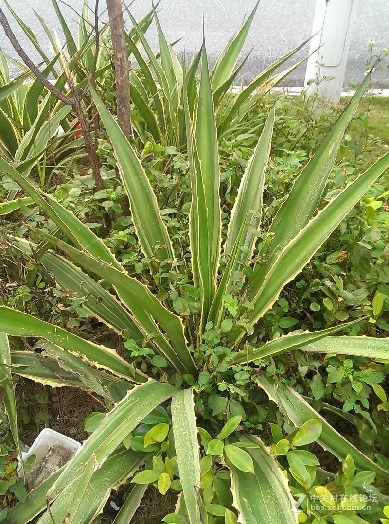 哎，HTC802   才400万像素不咋的  为什么不是1300万，2000万，4100万？？