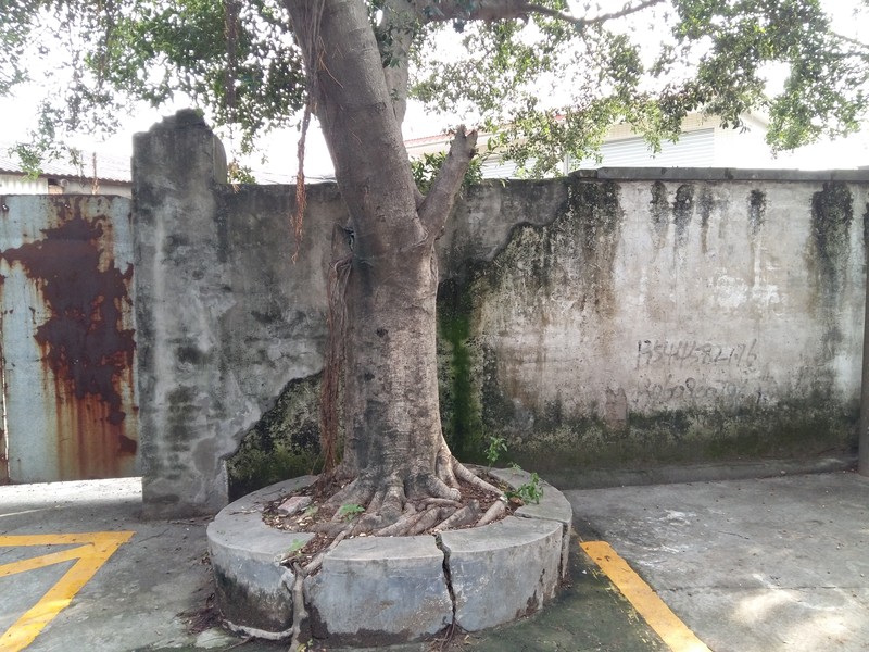 星空体育平台A5000户外拍照