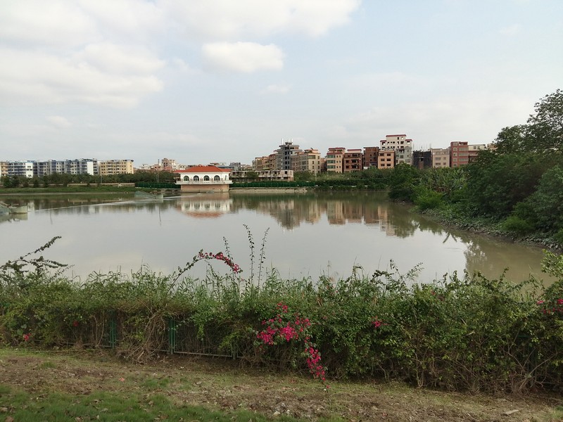 星空体育平台A5000户外拍照