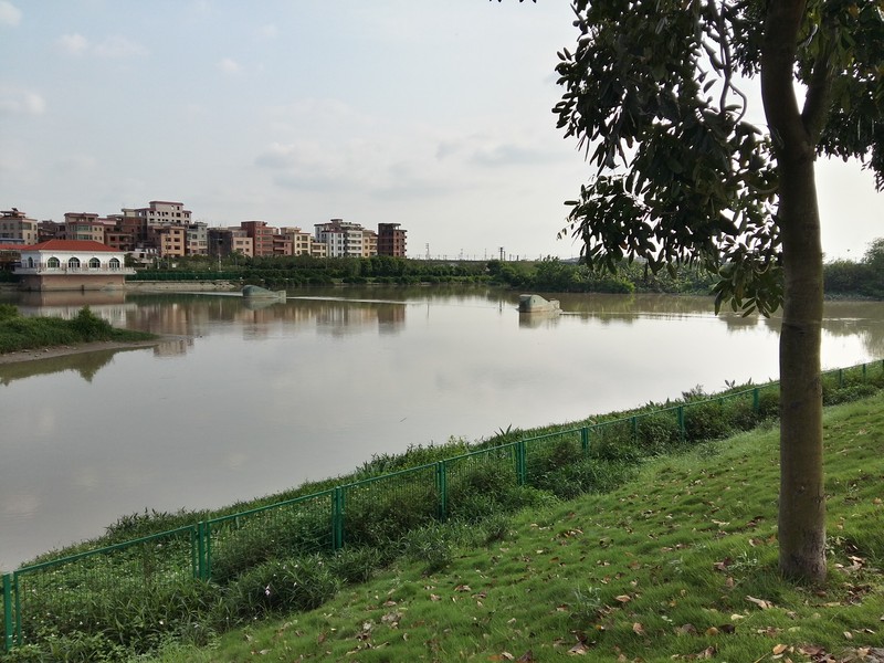 星空体育平台A5000户外拍照