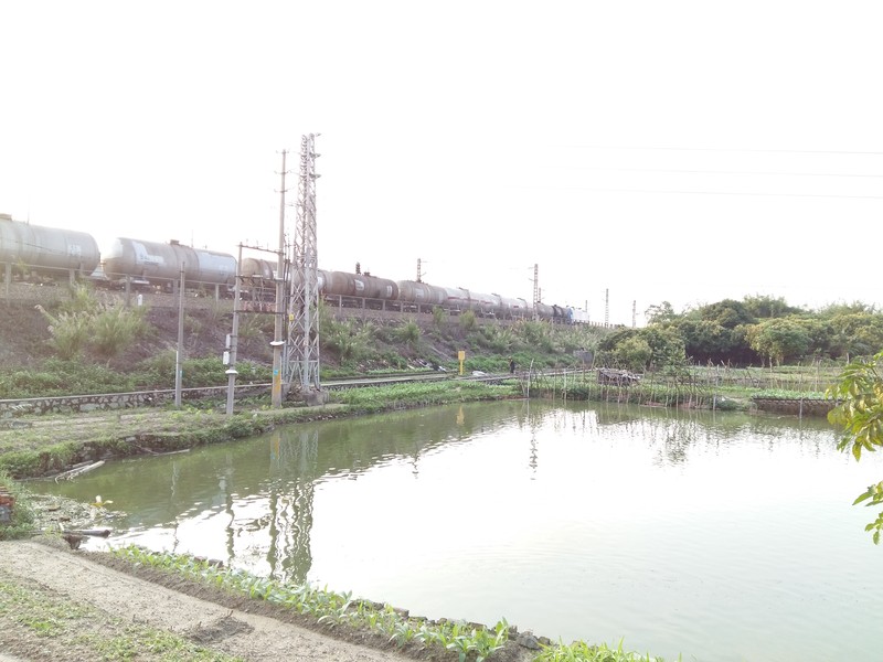 星空体育平台A5000户外拍照