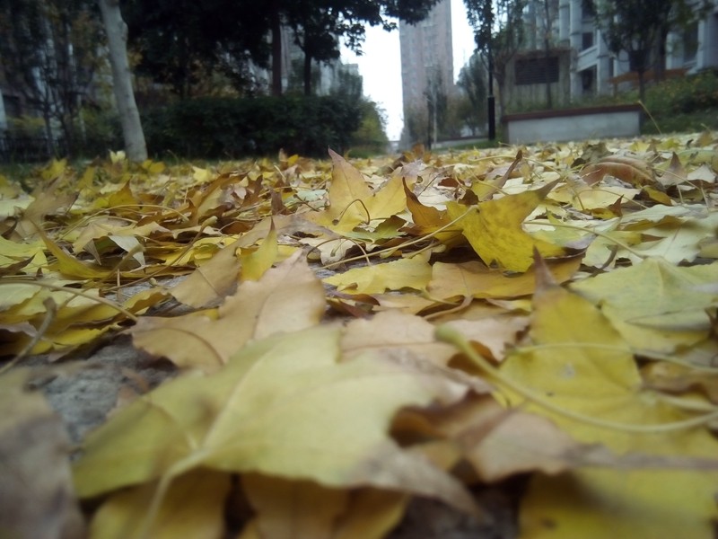 不辣不青春！小辣椒X5粉色款傲骄上手