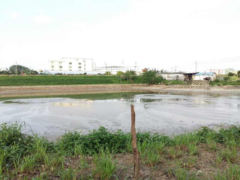 星空体育平台A5000户外拍照