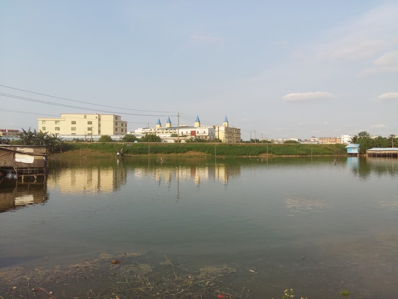 星空体育平台A5000户外拍照