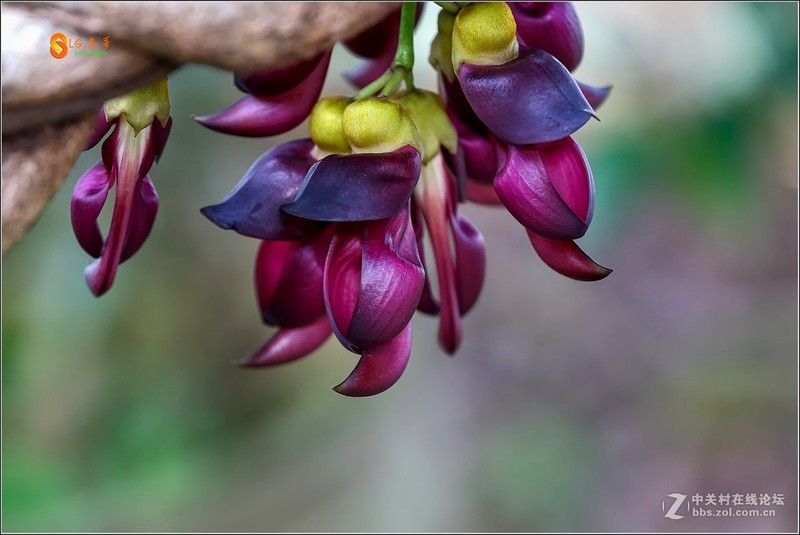 #版主坐堂#2017年4月份佳能100-400镜头板块优秀作品汇总