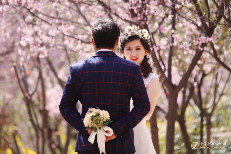 #版主坐堂#2017年4月份佳能100-400镜头板块优秀作品汇总