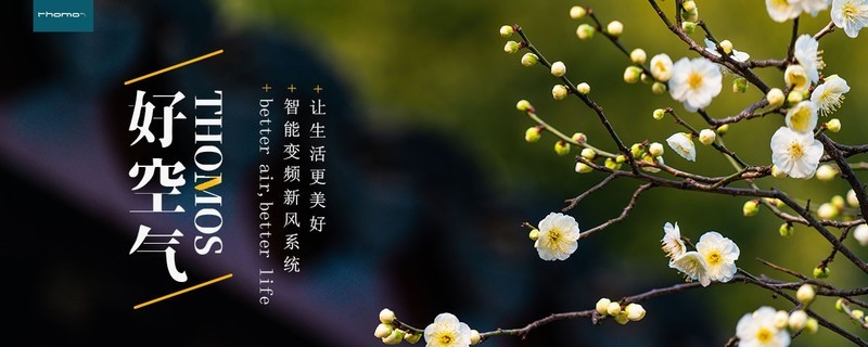 没了“十面霾伏”时，我们该怎样正确净化室内空气？