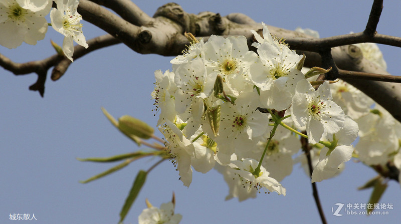 #版主坐堂#2017年4月份佳能100-400镜头板块优秀作品汇总