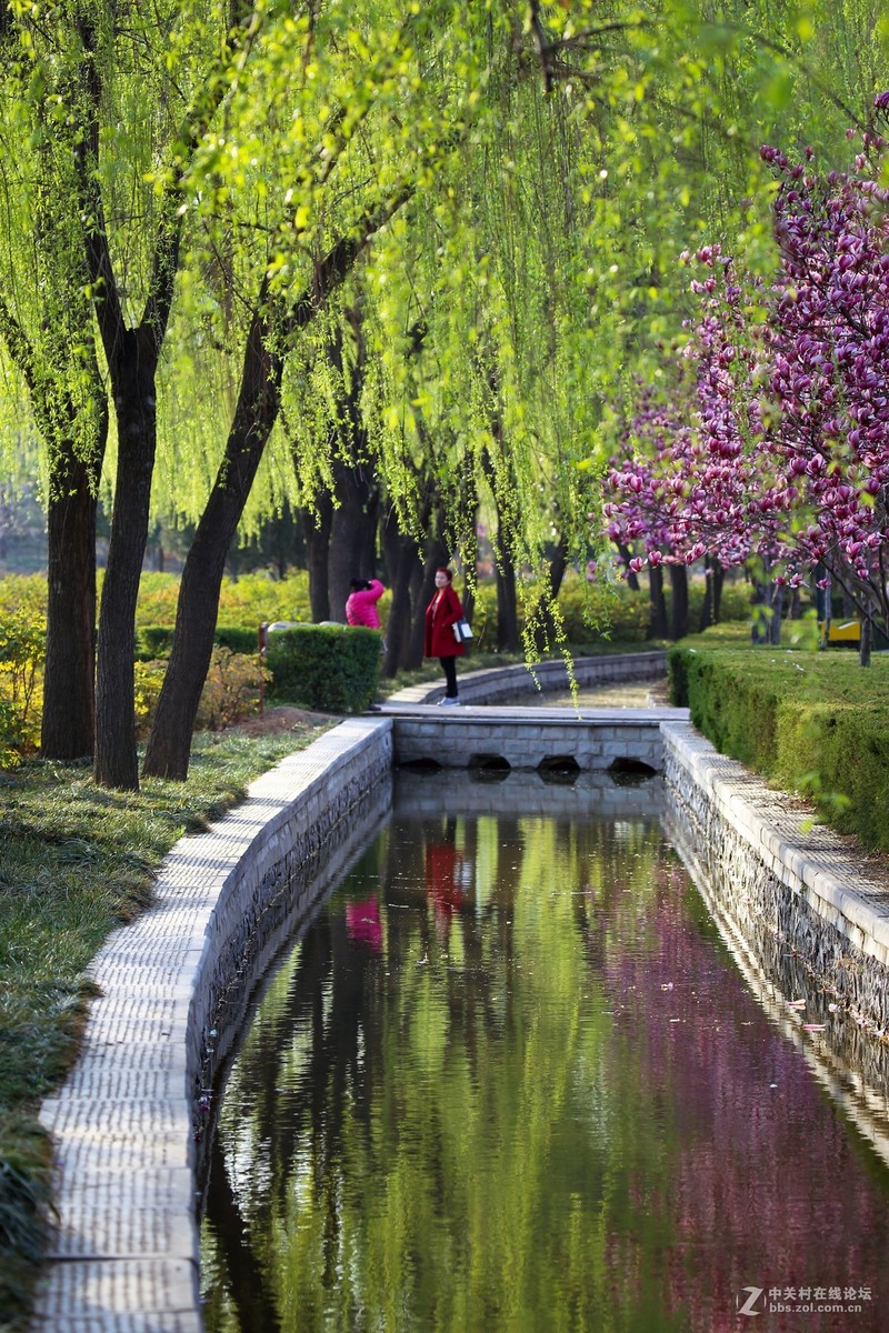 #版主坐堂#2017年4月份佳能100-400镜头板块优秀作品汇总