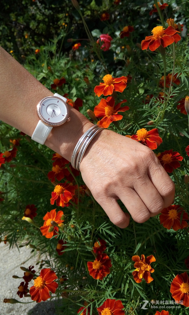 【朵唯MISD智能宝石腕表】绿叶丛中一点亮！