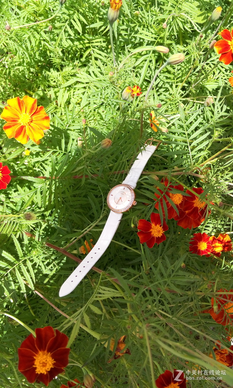 【朵唯MISD智能宝石腕表】绿叶丛中一点亮！