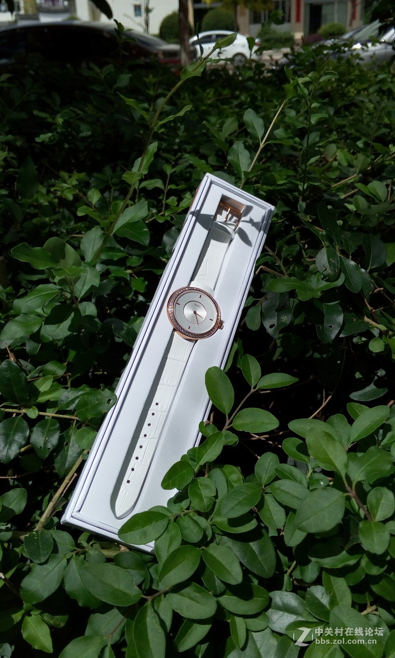 【朵唯MISD智能宝石腕表】绿叶丛中一点亮！