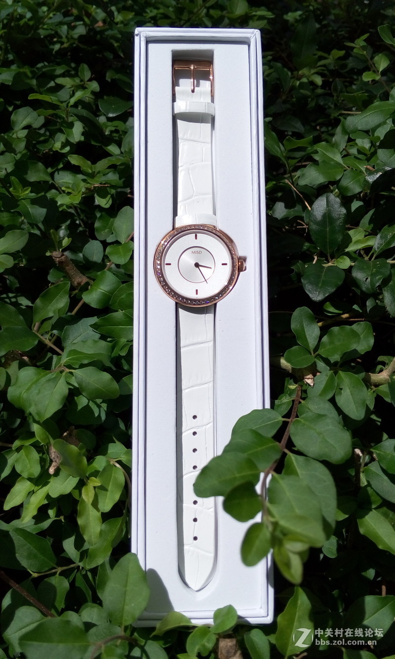 【朵唯MISD智能宝石腕表】绿叶丛中一点亮！