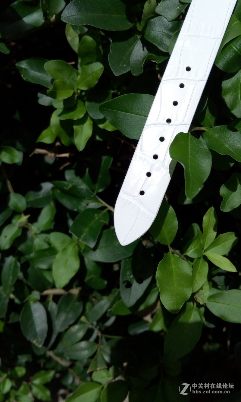 【朵唯MISD智能宝石腕表】绿叶丛中一点亮！