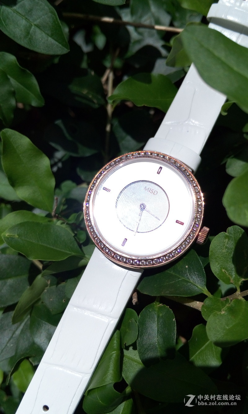 【朵唯MISD智能宝石腕表】绿叶丛中一点亮！